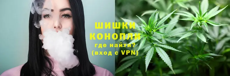 дарнет шоп  Сенгилей  Конопля White Widow 